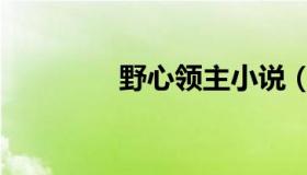 野心领主小说（野心领主）