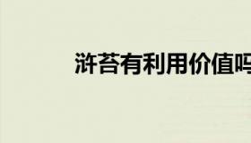 浒苔有利用价值吗（浒怎么读）
