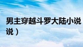 男主穿越斗罗大陆小说（男主穿越斗罗大陆小说）