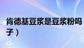 肯德基豆浆是豆浆粉吗（肯德基豆浆粉什么牌子）
