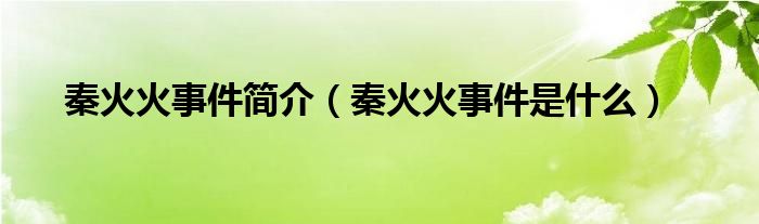 秦火火事件简介（秦火火事件是什么）