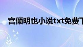 宫倾明也小说txt免费下载（宫倾玉碎舞）