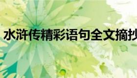 水浒传精彩语句全文摘抄（水浒传精彩语句）