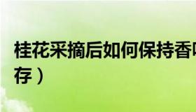 桂花采摘后如何保持香味（桂花采摘后如何保存）