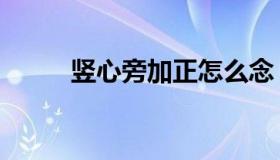 竖心旁加正怎么念（竖心旁加宏）