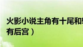 火影小说主角有十尾和转生眼（火影小说主角有后宫）