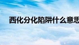西化分化陷阱什么意思（西化分化陷阱）