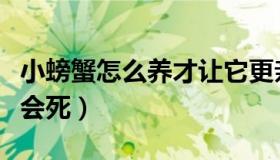 小螃蟹怎么养才让它更亲近（小螃蟹怎么养不会死）