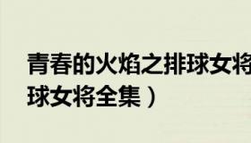 青春的火焰之排球女将34（青春的火焰之排球女将全集）
