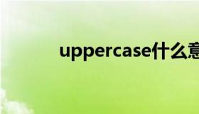 uppercase什么意思（upper）