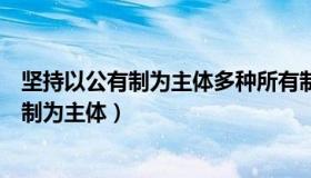 坚持以公有制为主体多种所有制经济共同发展（坚持以公有制为主体）