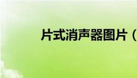 片式消声器图片（片式消声器）