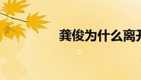 龚俊为什么离开烛龙芷湖