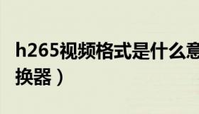 h265视频格式是什么意思（h265视频格式转换器）