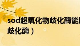 sod超氧化物歧化酶能服用吗（sod超氧化物歧化酶）