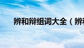 辨和辩组词大全（辨和辩组词有哪些）