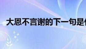 大恩不言谢的下一句是什么（大恩不言谢）