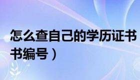 怎么查自己的学历证书（怎么查自己的学历证书编号）