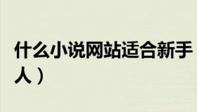什么小说网站适合新手（什么小说网站适合新人）