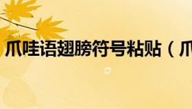 爪哇语翅膀符号粘贴（爪哇语翅膀符号大全）