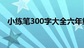 小练笔300字大全六年级（小练笔300字）