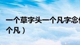 一个草字头一个凡字念什么字（一个草字头一个凡）