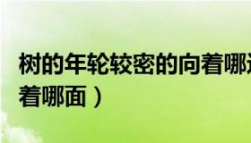 树的年轮较密的向着哪边（树的年轮较密的向着哪面）