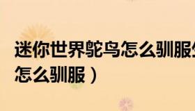 迷你世界鸵鸟怎么驯服生小孩（迷你世界鸵鸟怎么驯服）