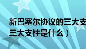 新巴塞尔协议的三大支柱（新巴塞尔协议 的三大支柱是什么）