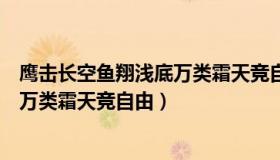 鹰击长空鱼翔浅底万类霜天竞自由赏析（鹰击长空鱼翔浅底万类霜天竞自由）