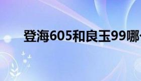 登海605和良玉99哪个好（登海605）
