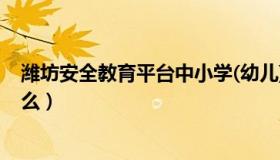 潍坊安全教育平台中小学(幼儿)（潍坊教育的安全平台是什么）
