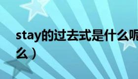 stay的过去式是什么呢（stay的过去式是什么）