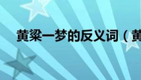 黄粱一梦的反义词（黄粱一梦的反义词）