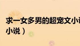 求一女多男的超宠文小说排行榜（求一女多夫小说）