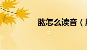 肱怎么读音（肱怎么读）