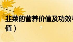 韭菜的营养价值及功效与作用（韭菜的营养价值）