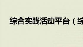 综合实践活动平台（综合实践活动总结）