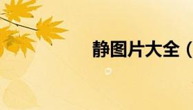 静图片大全（静图片）