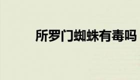 所罗门蜘蛛有毒吗（所罗门蜘蛛）