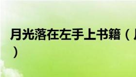 月光落在左手上书籍（月光落在左手上好句子）
