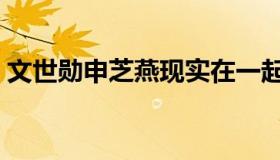 文世勋申芝燕现实在一起了吗（文世琳三级）