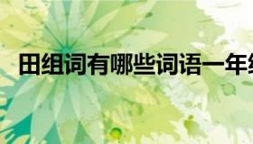 田组词有哪些词语一年级（田组词有哪些）