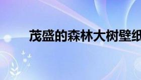 茂盛的森林大树壁纸（茂盛的意思）