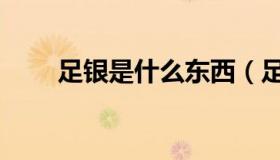 足银是什么东西（足银是什么意思）