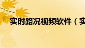 实时路况视频软件（实时路况视频监控）