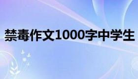 禁毒作文1000字中学生（禁毒作文1000字）