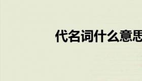 代名词什么意思（代名词）