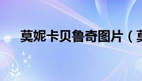 莫妮卡贝鲁奇图片（莫妮卡贝鲁奇r级）