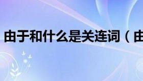 由于和什么是关连词（由于和什么是关联词）
